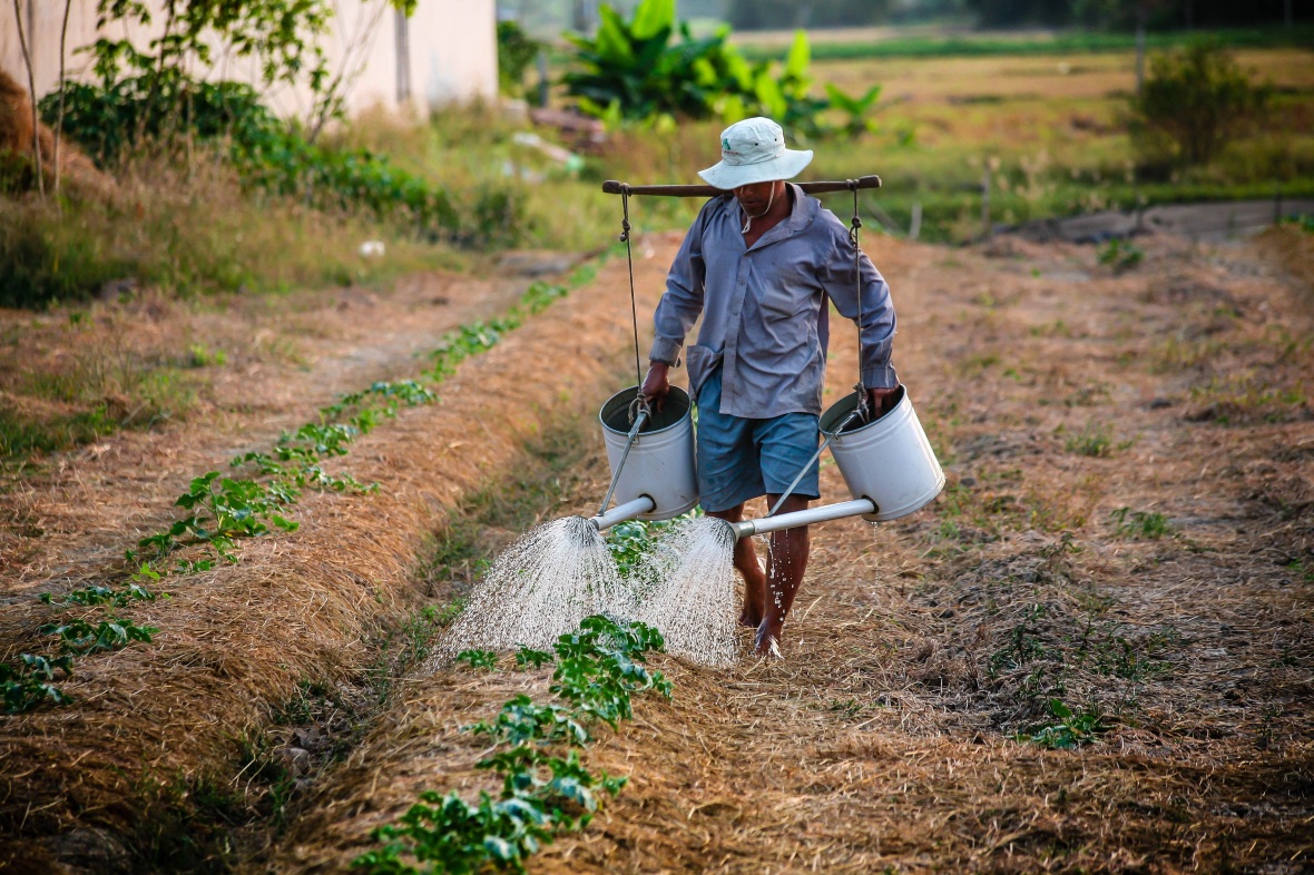 watering-watering-can-man-vietnam-162637